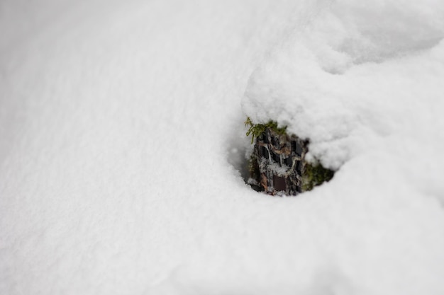 冬の森の深い雪の下に隠されたトレイルカメラ