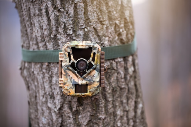 Trail camera for wildlife monitoring attached to a tree with green strap