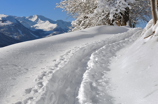 Trail in verse sneeuw