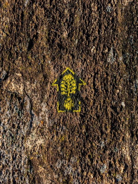 Trail marks in transmantiqueira lange trailwandeling