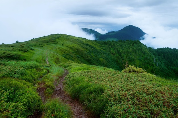 Trail in the mountains