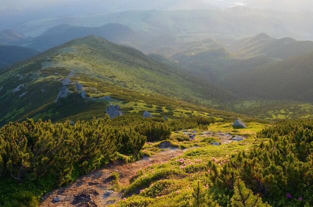 Trail in the mountains