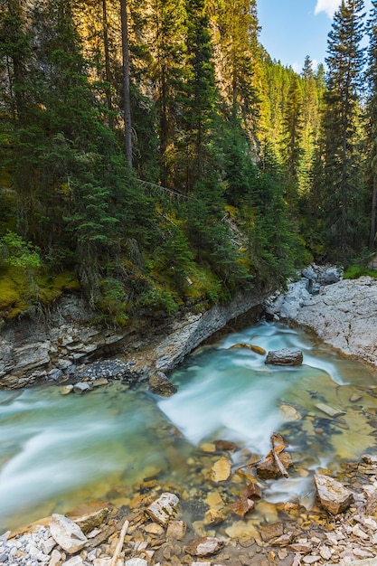 Trail naar de lagere Johnston Falls in Canada