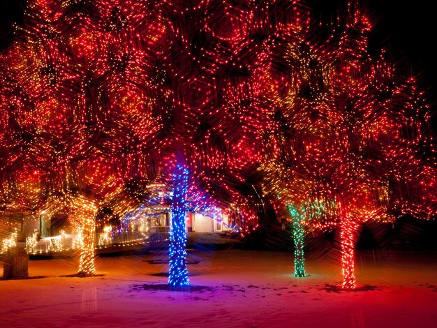 Trail of lights bij denver botanical gardens in chatfield.