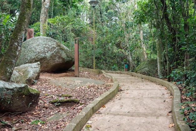 사진 비토리아 es 브라질 의 폰테 그란데 주립 공원 의 숲 에 있는 경로