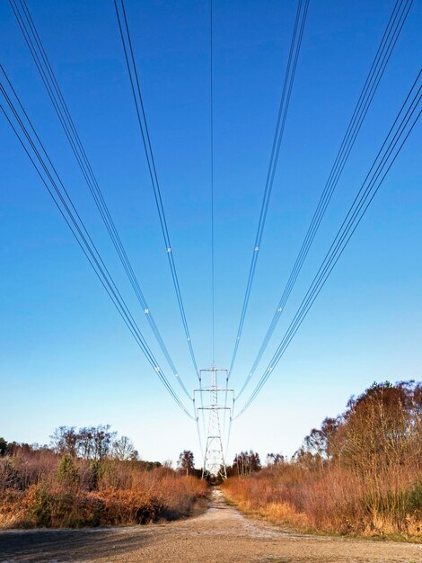 Trail through allerthorpe common east yorkshire england following a line of electricity pylons