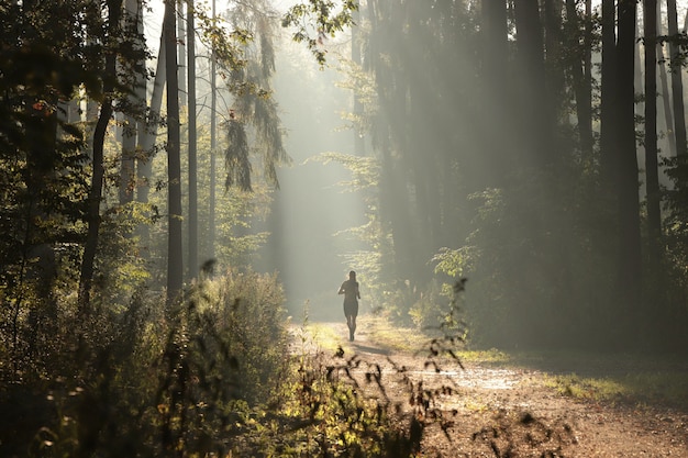 Trail through a coniferous forest during sunrise in foggy weather