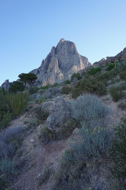 Il sentiero per la cima della montagna è un po' ripido.