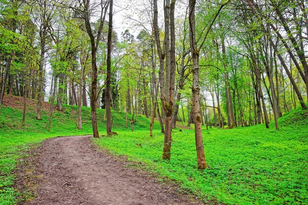 Trail in Traku Voke public park of Vilnius, Lithuania.