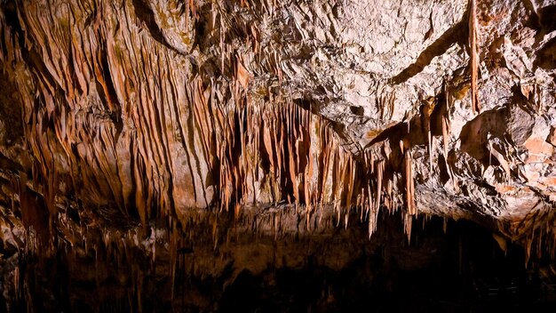 Trails inside the Postojna cave park It is the secondlongest cave system in the country One of its top tourism sites The caves were created by the Pivka River