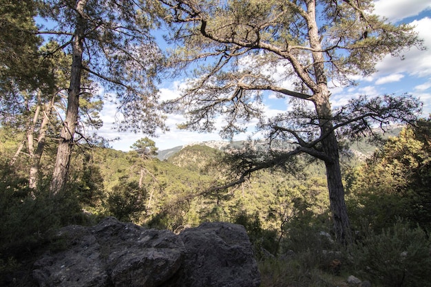 시에라 데 카졸라 스페인 자연 관광 개념의 멋진 전망이 있는 산책로