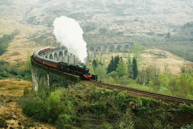 Foto treno in movimento su binari ferroviari