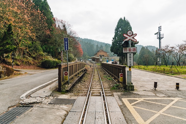 Photo train rail with railway traffic lights in alishan forest railway in alishan, taiwan.