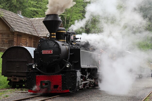 Train on railroad track