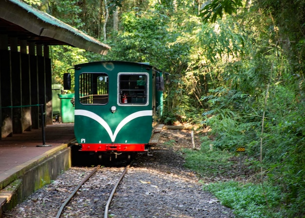 Train on railroad track