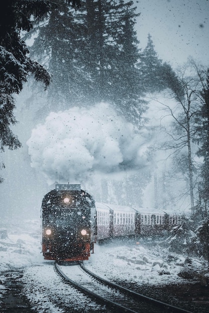 冬の雪に覆われた鉄道線路の列車