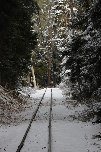 Photo train in the snowy forest