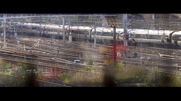 Foto un treno alla stazione