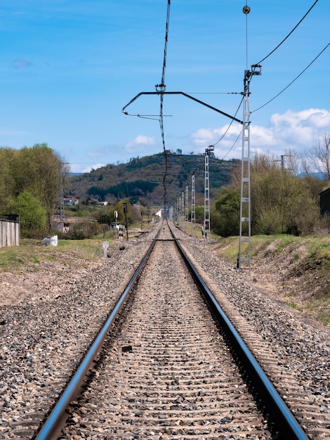 Train tracks are lost in the background under the electrified\
wires of the catenary in a landscape full of vegetation and the\
reverberation produced by the refraction of light on the train\
tracks