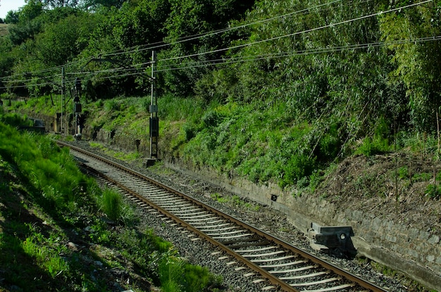 Train tracks in the empty station no passing train