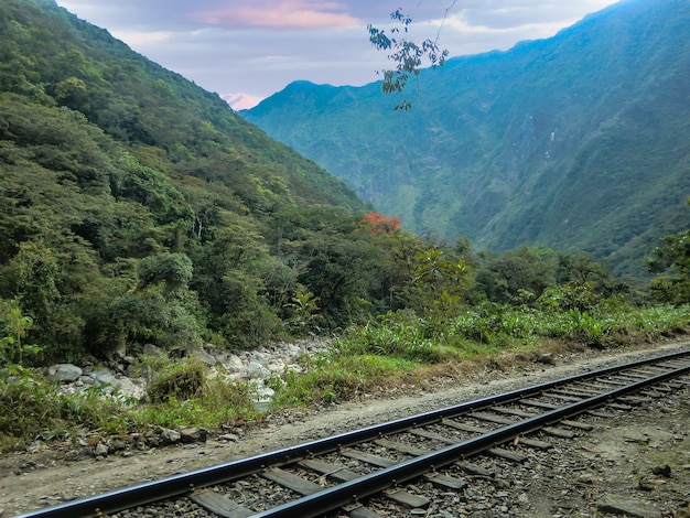 Train tracks in the middle of a jungle in the city of Cusco - Peru.