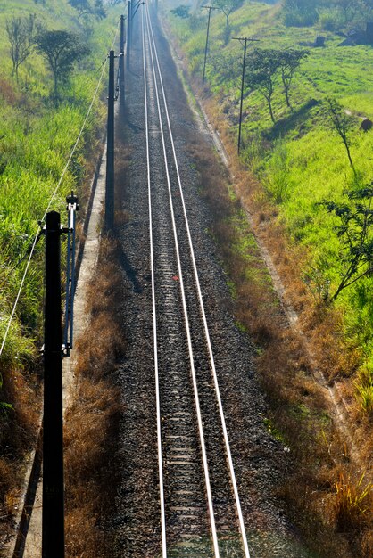 Train tracks with bright with green grass on the banks