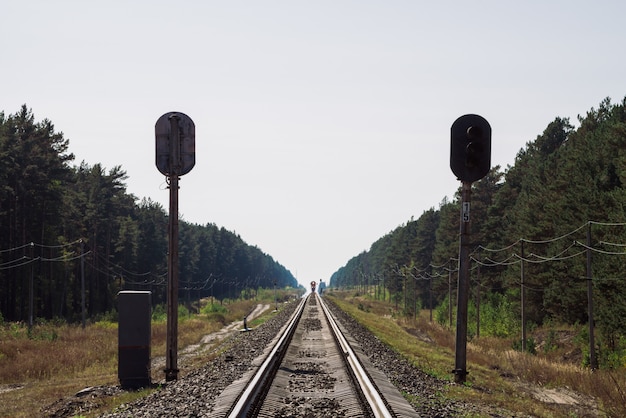 Train travels by rail along forest