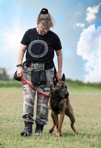 Training of belgian shepherd