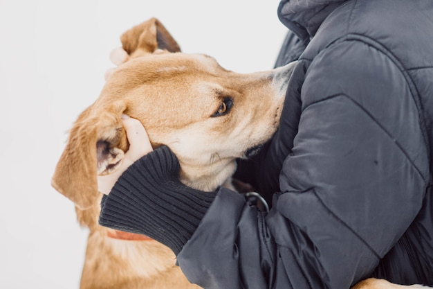 冬にひもにつないで歩くように犬を訓練する