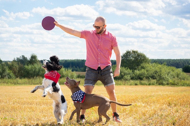 Training dogs on the site