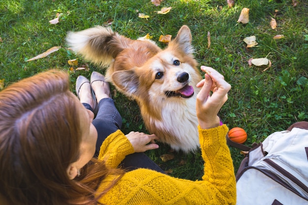 トレーニング-公園を歩く少女と犬のコーギー