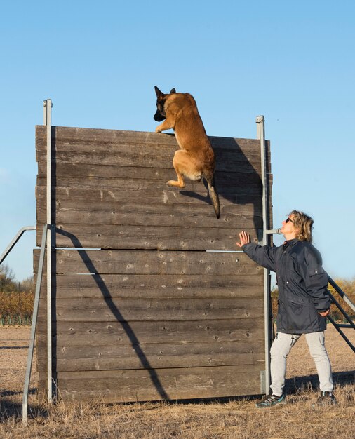 Foto addestramento del cane poliziotto