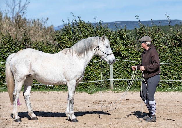 Training van equifeel