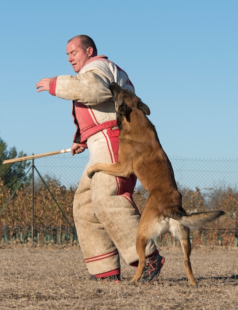 training van politiehond