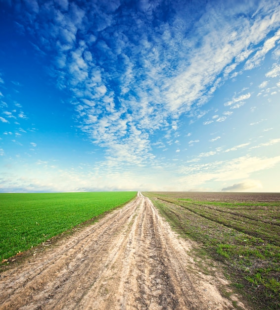 Traject in het midden van een groen veld