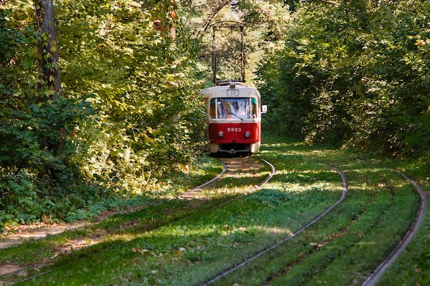 Tram en tramrails in kleurrijk bos