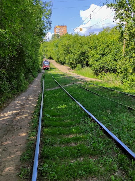 Tram moves along the street of the city