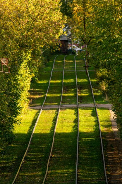 Tram moves through a beautiful autumn park