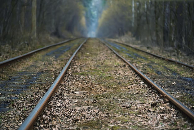 Tram rails in the autumn forest vintage hipster background Travel freedom and hope concept