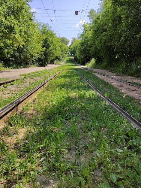 Tram rails in the park area