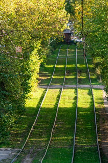 Tram rijdt door een prachtig herfstpark