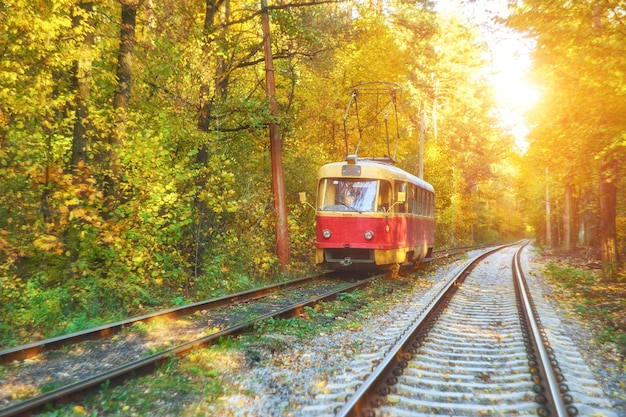 Tram with passengers departs from bus stop in city in early morning