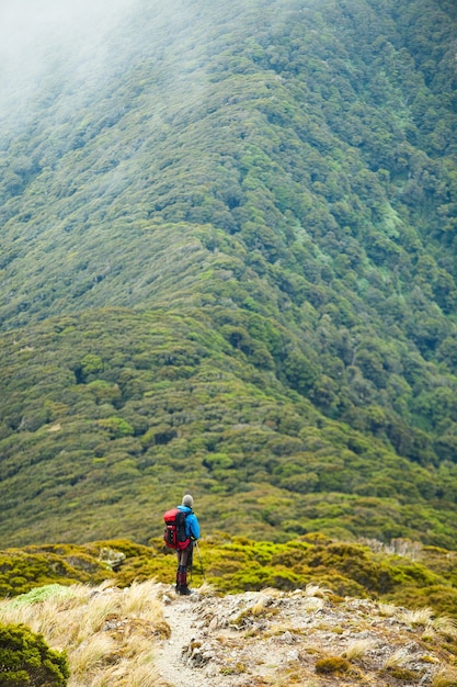 Tramper op Southern Crossing-route Tararua Forest Park