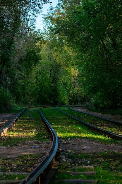 Tramrails worden op het park gelegd