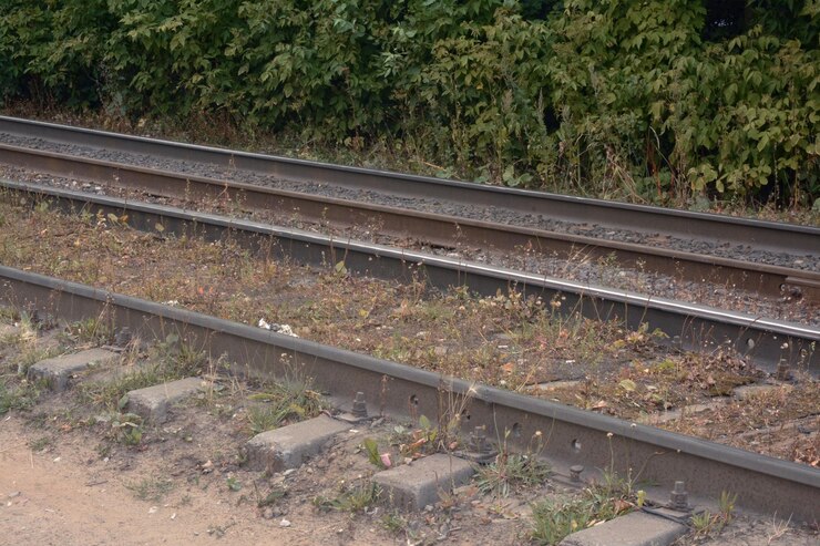Tramsporen in zand en gras
