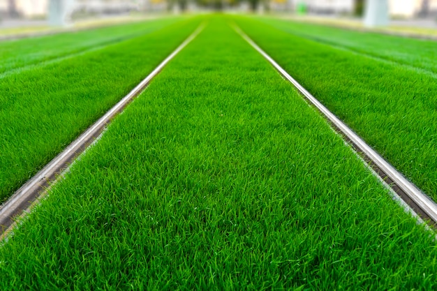 Tramway track covered by grass