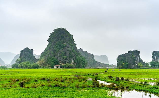 Trang An Scenic Landscape Complex. 베트남에서