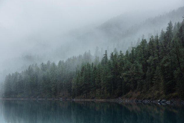 写真 静かな風景青い山の湖綿木の木濃霧の中のシルエット神秘的な濃霧の中の純なアルプス湖明日の早朝霧の多い氷河湖と森の端