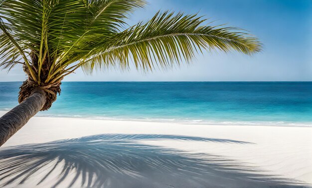 Tranquil Azure Ocean Beach Scene