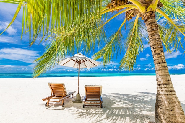 Premium Photo Tranquil beach scene. exotic tropical beach